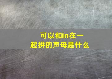 可以和in在一起拼的声母是什么