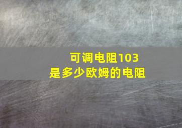 可调电阻103是多少欧姆的电阻