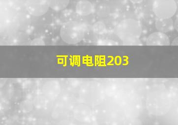 可调电阻203