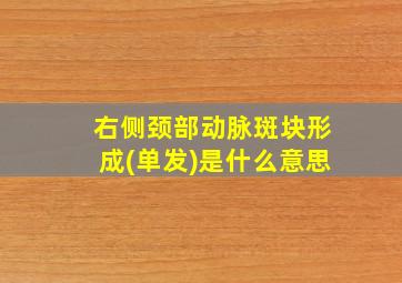 右侧颈部动脉斑块形成(单发)是什么意思