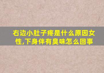 右边小肚子疼是什么原因女性,下身伴有臭味怎么回事