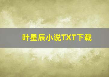 叶星辰小说TXT下载