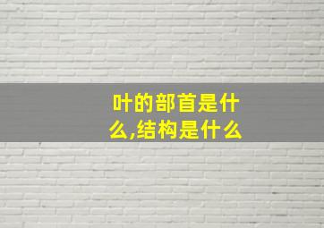 叶的部首是什么,结构是什么