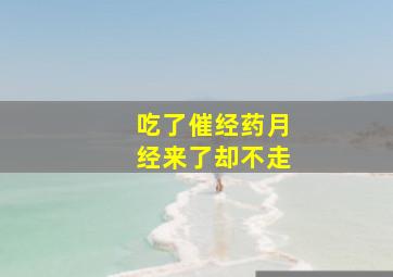 吃了催经药月经来了却不走