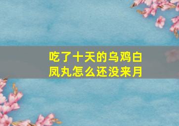 吃了十天的乌鸡白凤丸怎么还没来月