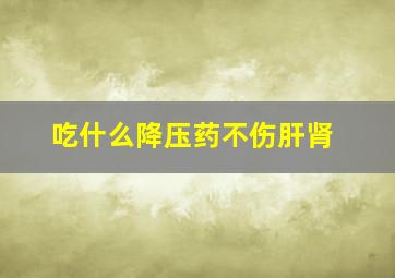 吃什么降压药不伤肝肾