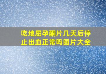 吃地屈孕酮片几天后停止出血正常吗图片大全