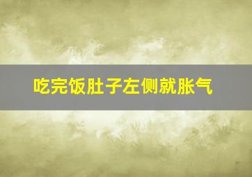 吃完饭肚子左侧就胀气