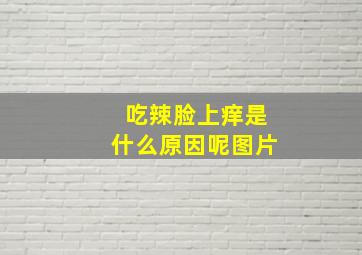 吃辣脸上痒是什么原因呢图片