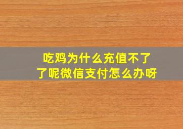 吃鸡为什么充值不了了呢微信支付怎么办呀