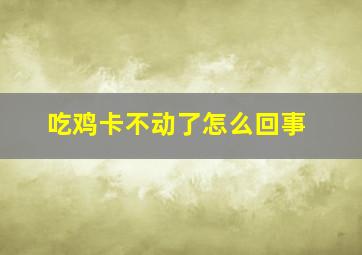 吃鸡卡不动了怎么回事