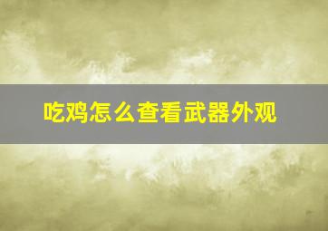 吃鸡怎么查看武器外观