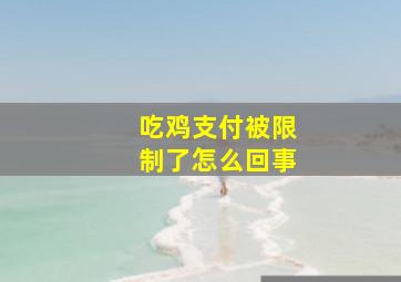 吃鸡支付被限制了怎么回事