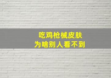 吃鸡枪械皮肤为啥别人看不到