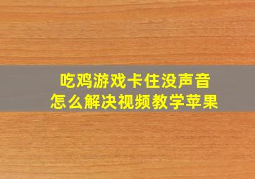 吃鸡游戏卡住没声音怎么解决视频教学苹果