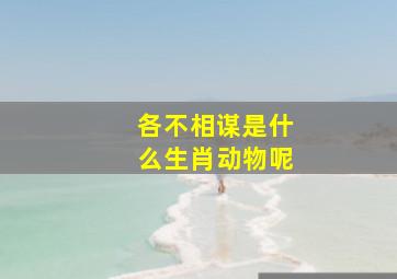 各不相谋是什么生肖动物呢