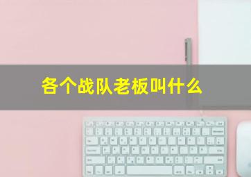 各个战队老板叫什么