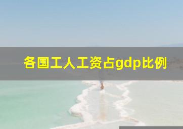 各国工人工资占gdp比例