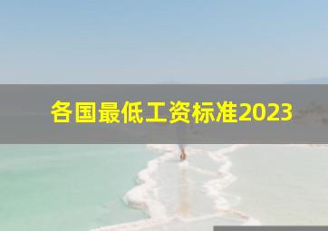 各国最低工资标准2023