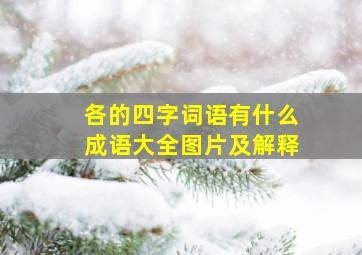 各的四字词语有什么成语大全图片及解释