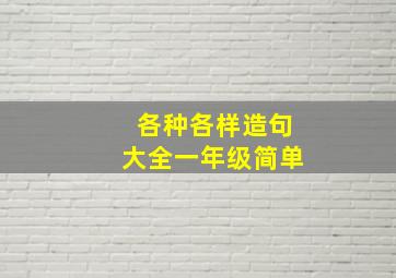 各种各样造句大全一年级简单