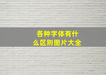 各种字体有什么区别图片大全