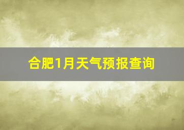 合肥1月天气预报查询