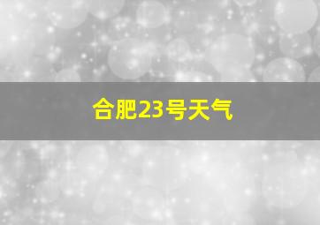 合肥23号天气