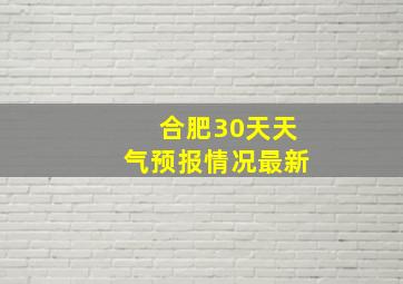 合肥30天天气预报情况最新