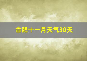 合肥十一月天气30天