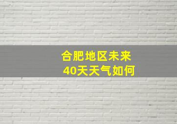 合肥地区未来40天天气如何