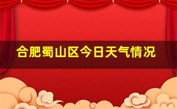 合肥蜀山区今日天气情况