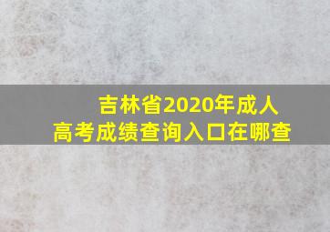 吉林省2020年成人高考成绩查询入口在哪查