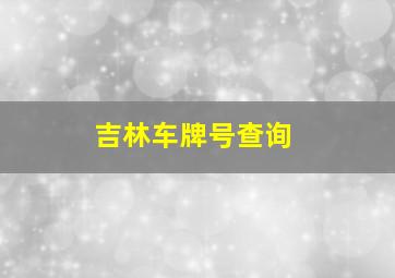 吉林车牌号查询