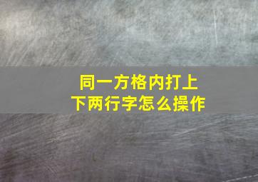 同一方格内打上下两行字怎么操作