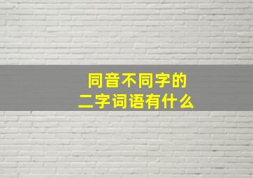 同音不同字的二字词语有什么