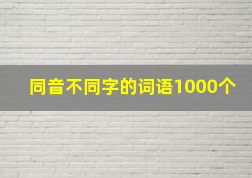 同音不同字的词语1000个