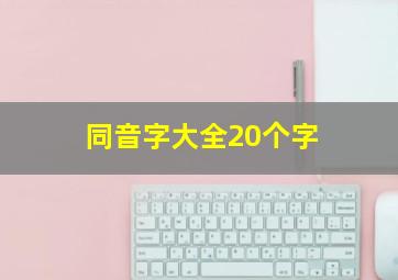 同音字大全20个字