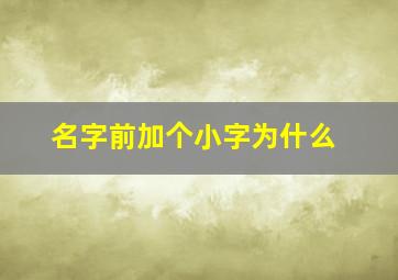 名字前加个小字为什么