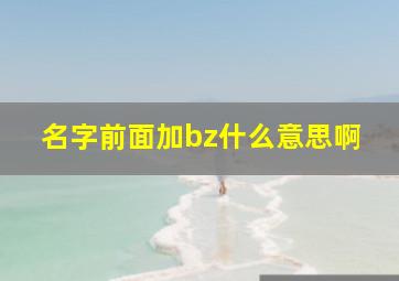 名字前面加bz什么意思啊