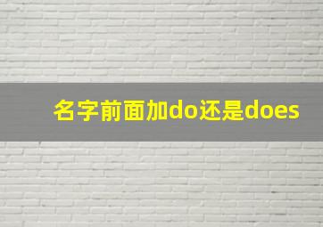 名字前面加do还是does