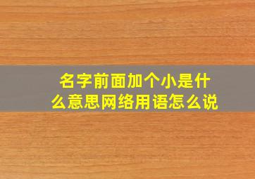 名字前面加个小是什么意思网络用语怎么说