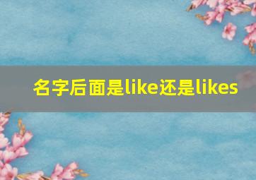 名字后面是like还是likes