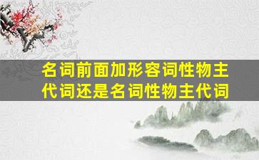 名词前面加形容词性物主代词还是名词性物主代词