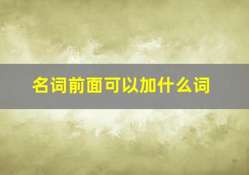 名词前面可以加什么词