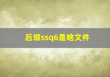 后缀ssq6是啥文件