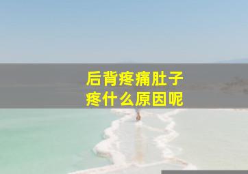 后背疼痛肚子疼什么原因呢