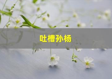 吐槽孙杨