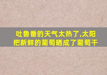 吐鲁番的天气太热了,太阳把新鲜的葡萄晒成了葡萄干