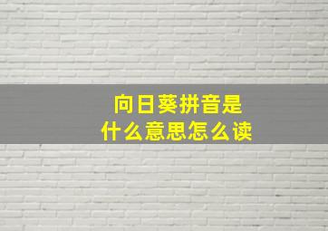 向日葵拼音是什么意思怎么读